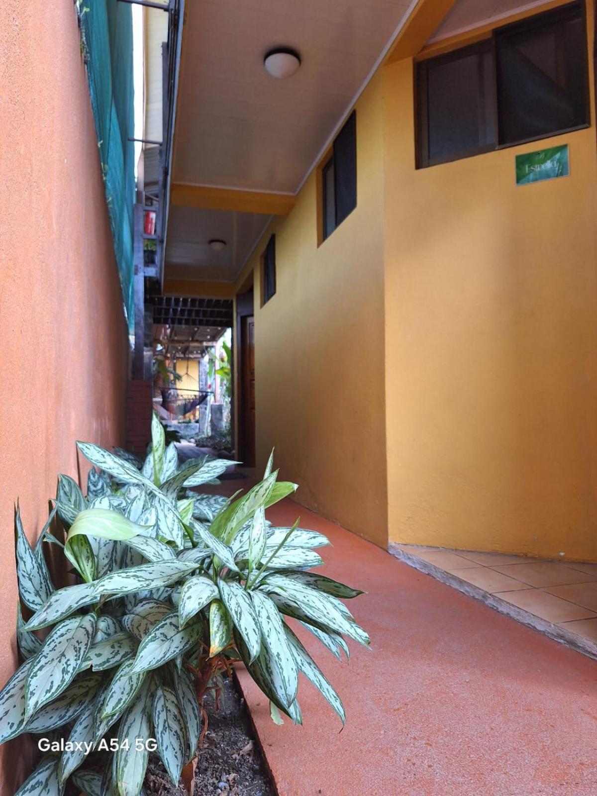 Iris Arenal Hotel La Fortuna Exterior foto