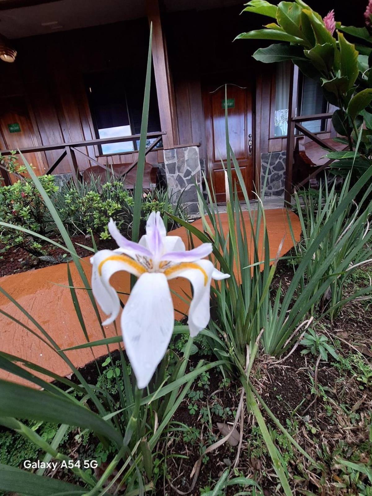 Iris Arenal Hotel La Fortuna Exterior foto